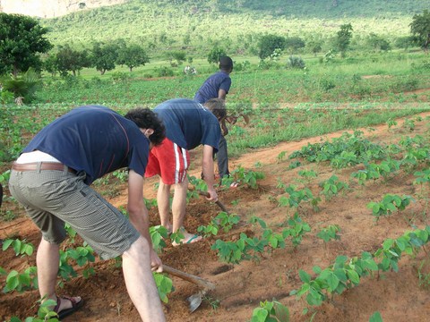 Ecotourisme solidaire (activités champêtres avec la population locale).